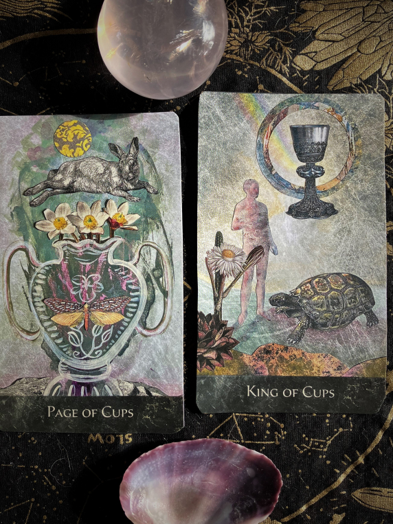 The Page of Cups and King of Cups